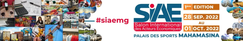 Visuel 2 du projet : Site et communication digitale pour Riano Agency