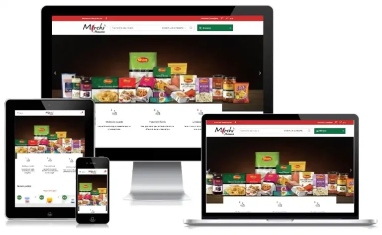 Visuel du projet de Mirchi Masala